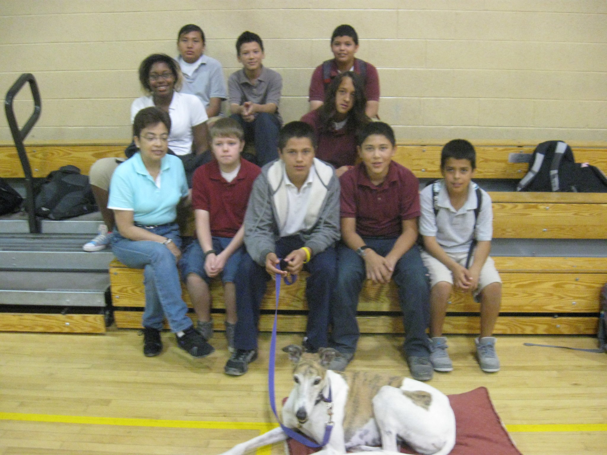 Students learn about greyhounds 